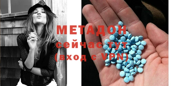 гашик Алексин