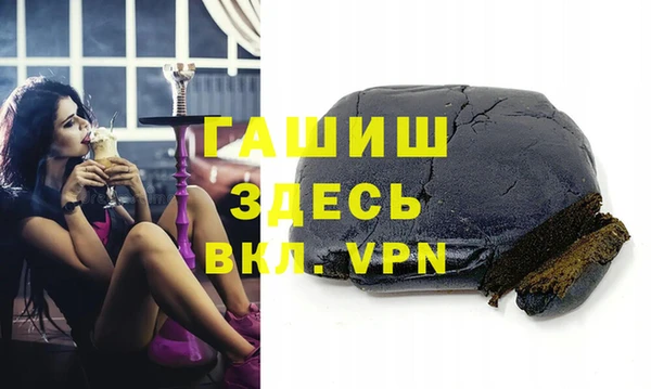 гашик Алексин
