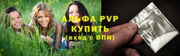 гашик Алексин