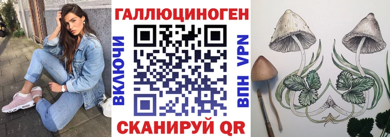 Галлюциногенные грибы Psilocybe Южно-Сахалинск